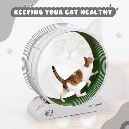 Cat Treadmill Exercise Wheel Lockable, Large